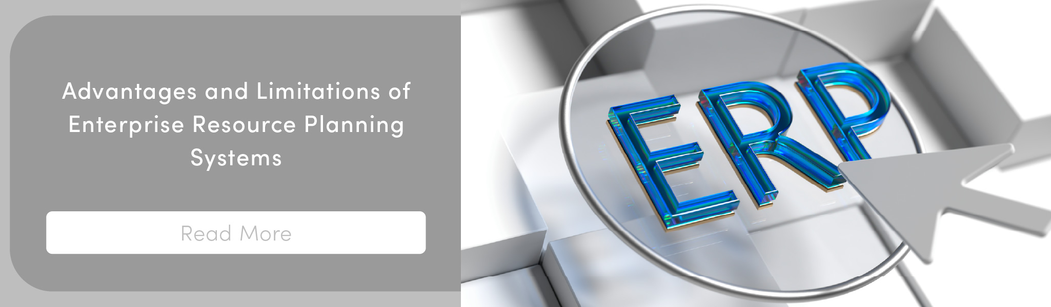 Advantages and Limitations of Enterprise Resource Planning Systems