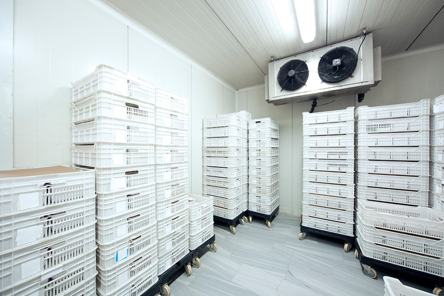 Industrial Freezer