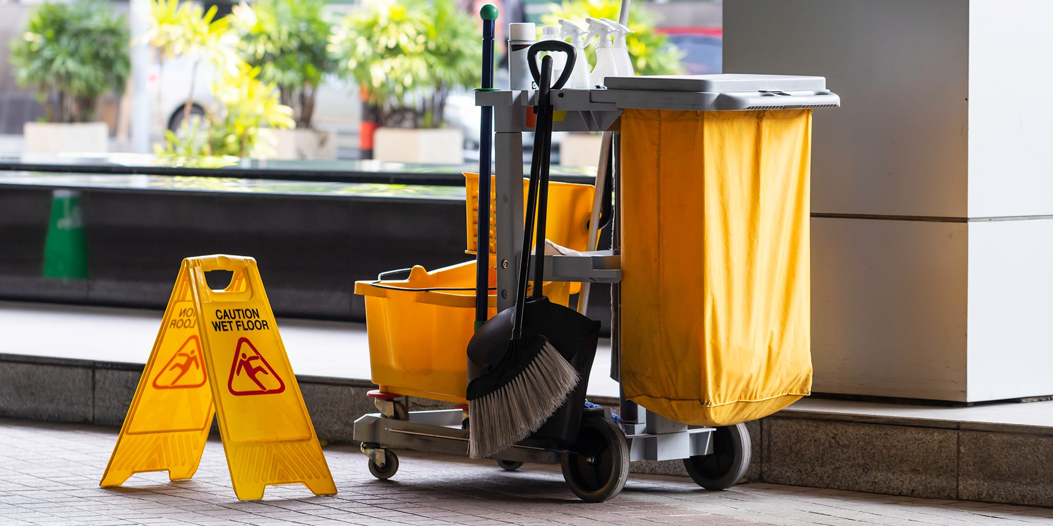 Janitorial Distribution