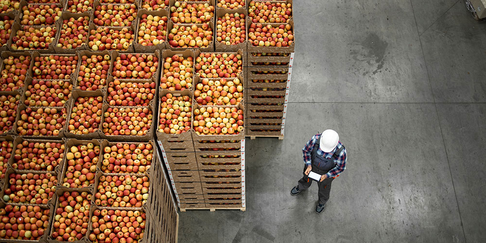 Produce Warehouse