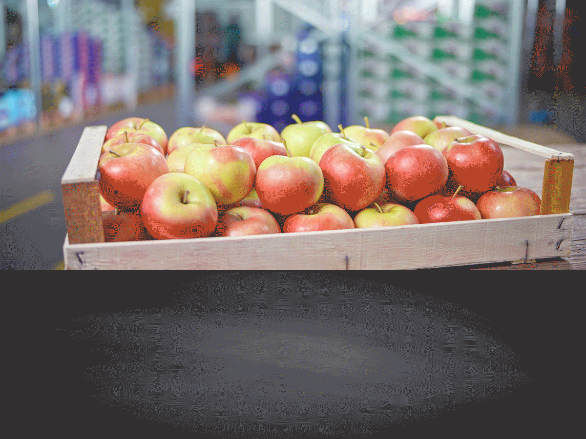 Catchweight Processing for S2K Enterprise for Food ERP