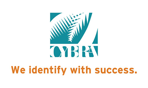 Cybra We Identify with Success